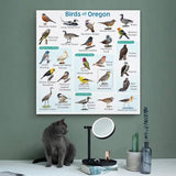 Samsung Galaxy A56 5G 8/128GB Rose