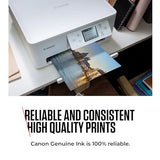 CANON 1LB CL 541 Color Ink Cartridge