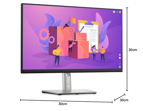 DELL P Series Écran 24 pouces QHD - P2423D