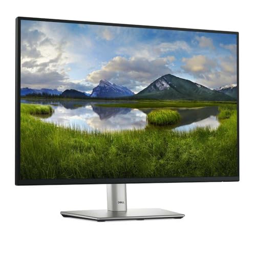 Dell 24" P2425 Monitor