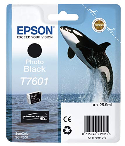 Cartouche EPSON C13T76094010 T7609 - Noir clair