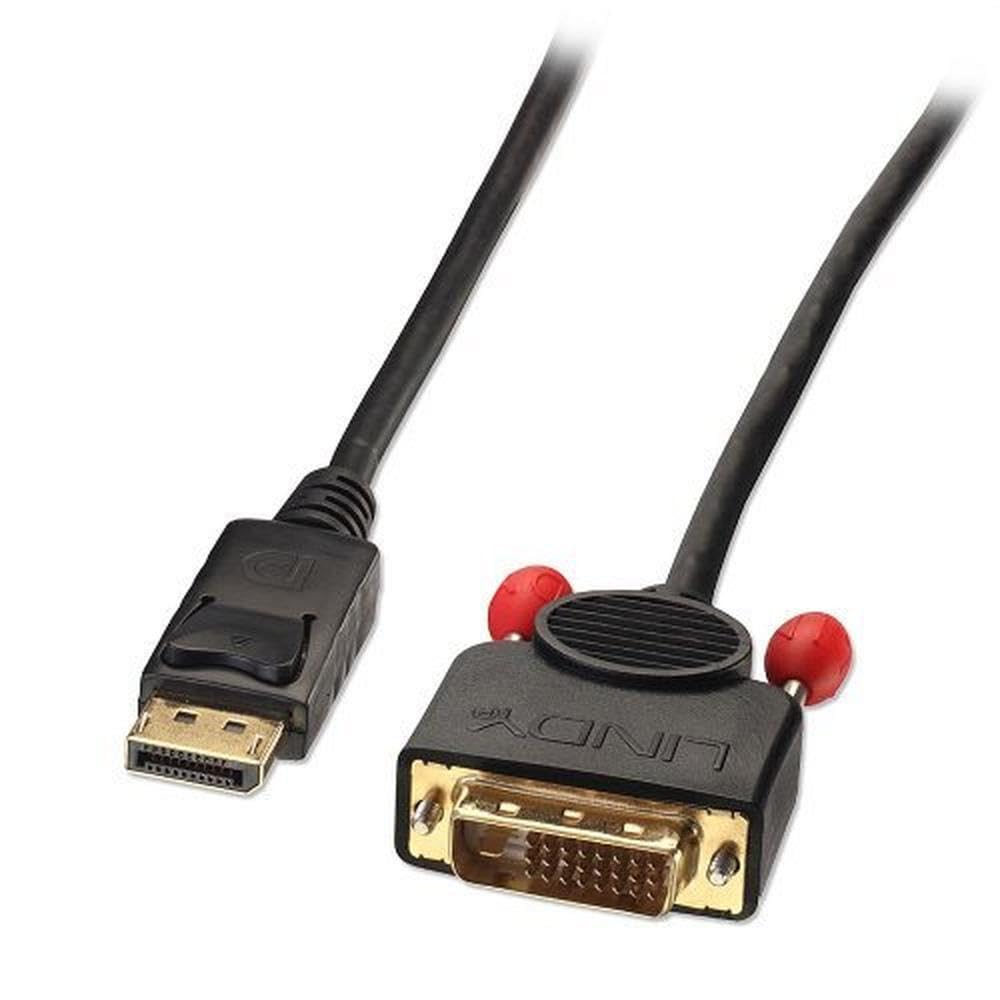 LINDY Câble DisplayPort vers DVI 3m