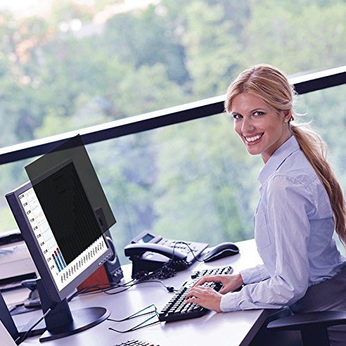Professional Privacy Filter 2D- 12 5 inc