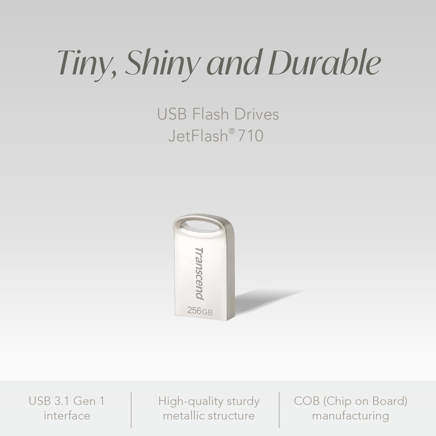 TRANSCEND 256Go USB 3.1 Pen Drive Silver