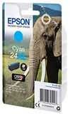 EPSON 1LB 24XL ink cartridge cyan high capacity 8.7ml 740 pages 1-pack RF-AM blister w/s