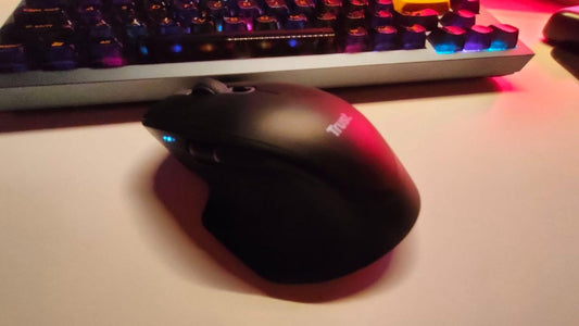 TRUST Souris sans fil OZAA II multi-connexion - Blanche