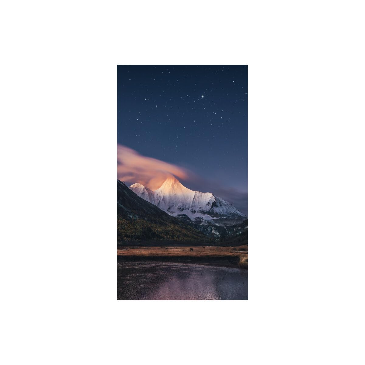 SAMSUNG VMC55R 55p FHD 0.88mm Frame