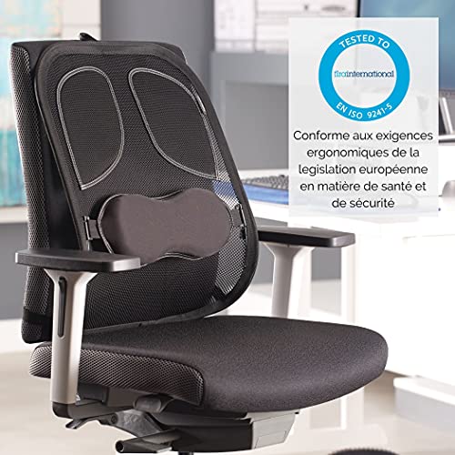 FELLOWES PROFESSIONAL MESH BACK SUPPORT