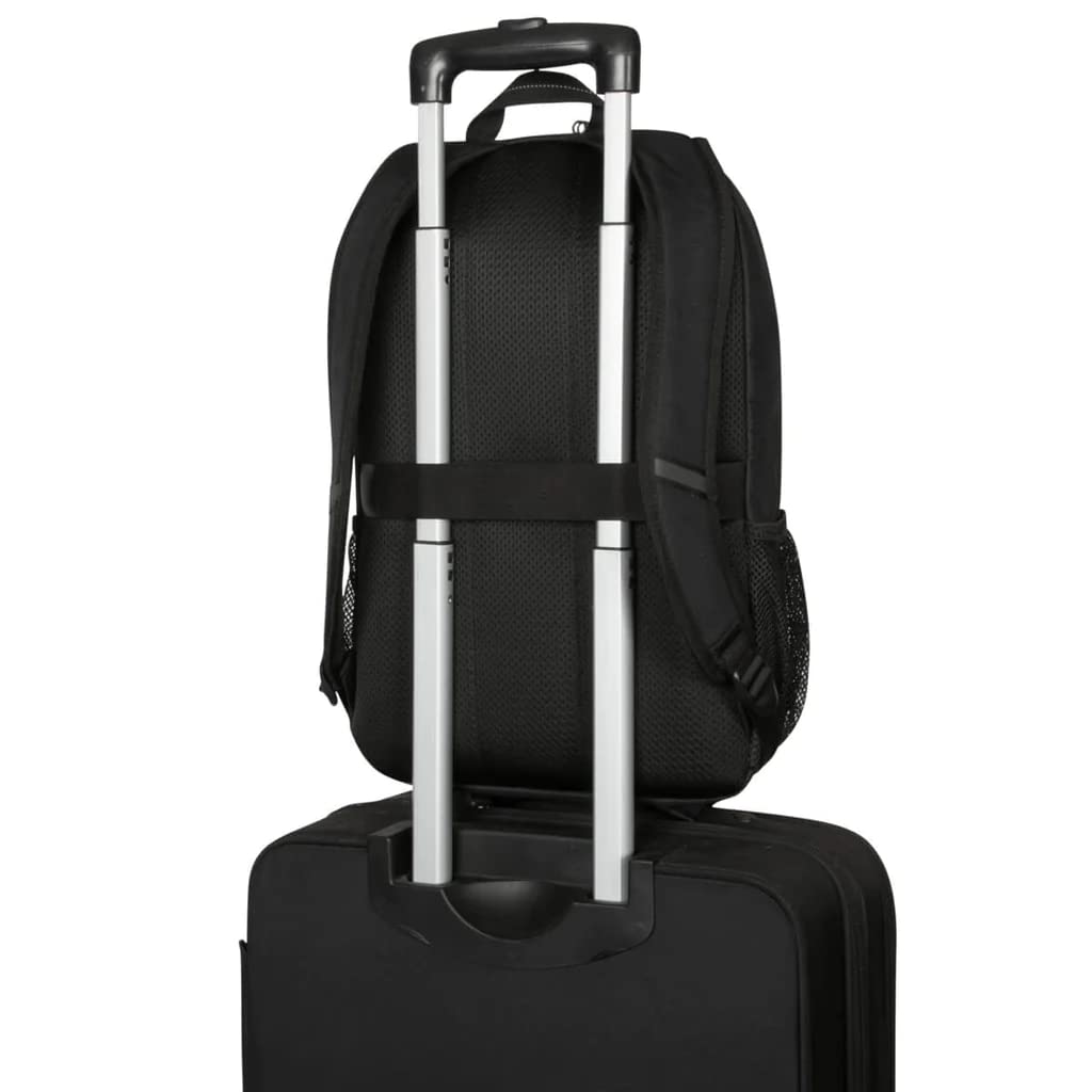 TARGUS 15.6p Classic Backpack