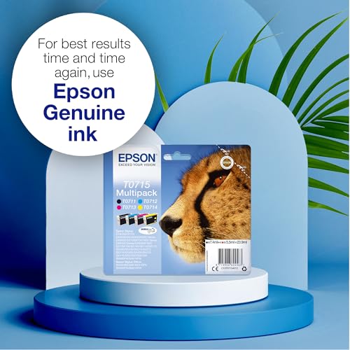 Cartouche EPSON C13T07114012 T0711 - Noir