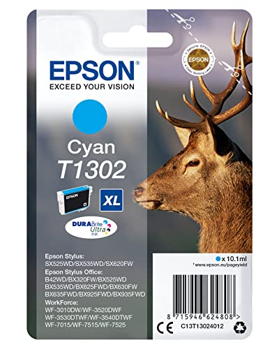 Cartouche EPSON C13T13014012 T1301 - Noir