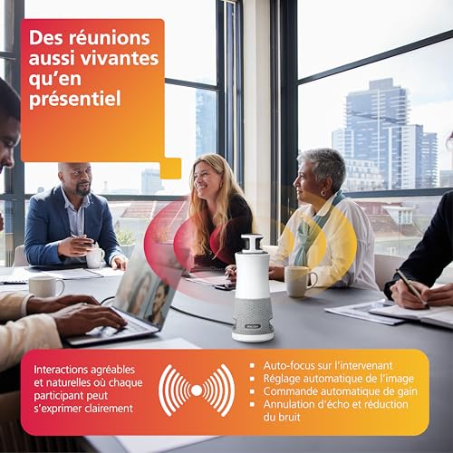 RICOH Hub de réunion 360 V2 appareil 3-en-1 avec camér micro et haut- parleur
