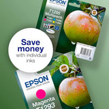 Cartouche EPSON C13T12954012 T1295 - Noir + 3 couleurs