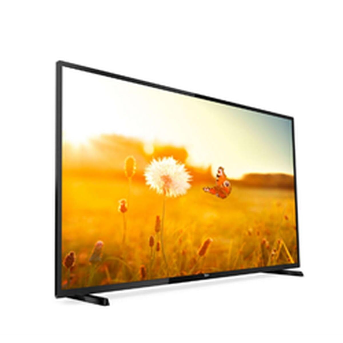 PHILIPS- Téléviseur professionnel 43" 43HFL3014/12