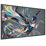 PHILIPS- Afficheur professionnel 65   65BDL3511Q/00