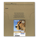 EPSON 2LB EasyMail MP Cheetah DURABrite Ultra CMYK