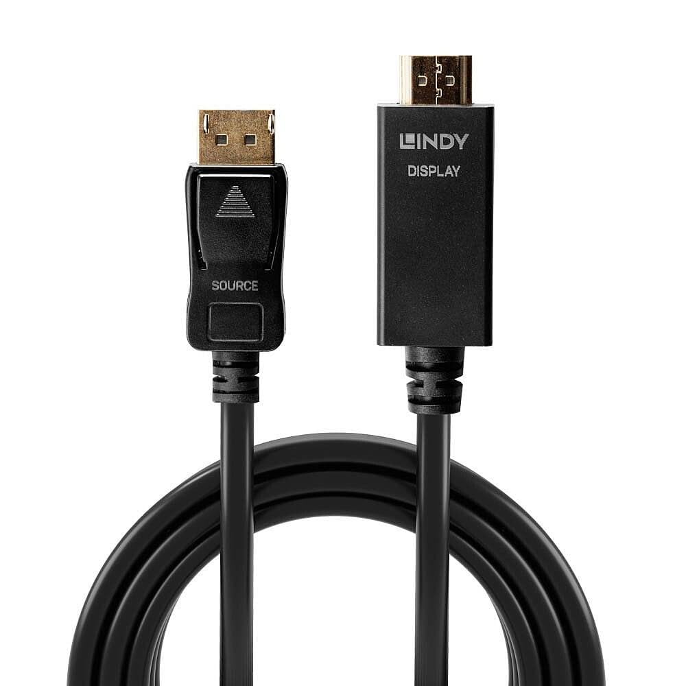 LINDY Câble DisplayPort vers HDMI 4K30 DP:passif 1m