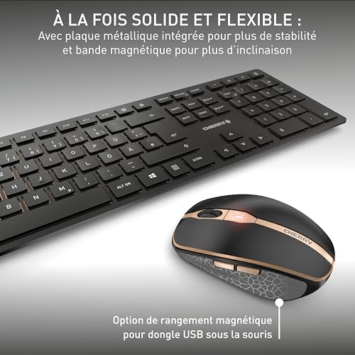CHERRY Pack clavier & souris DW 9100 sans fil noir/bronze,