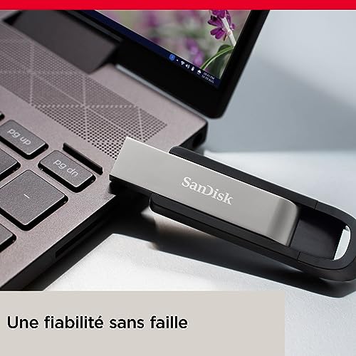 SANDISK Clé USB Extreme Go 256 Go