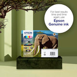 Cartouche EPSON C13T24224012 24 - Cyan