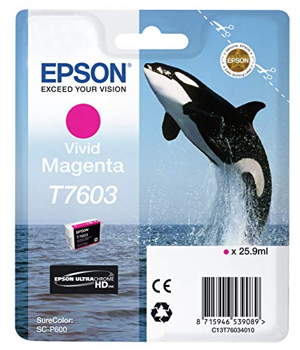 Cartouche EPSON C13T76094010 T7609 - Noir clair