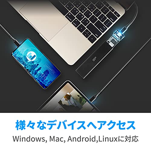 SILICON POWER External M.2 NVMe/SATA SSD case PD60 USB 3.2 Type-C