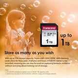 TRANSCEND Carte SDHC TS8GSDC300S Classe 10 8 Go