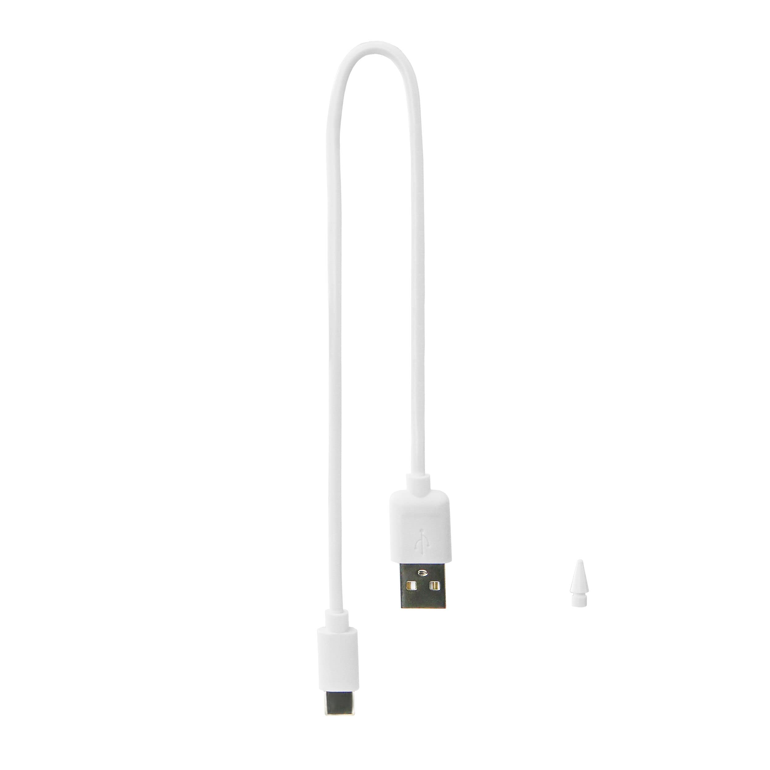 Active Stylus for iPad