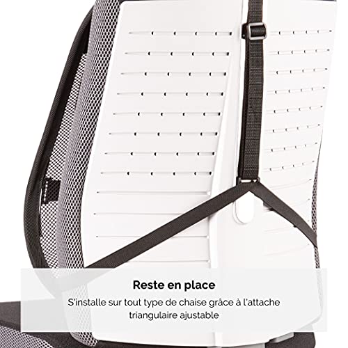 FELLOWES PROFESSIONAL MESH BACK SUPPORT