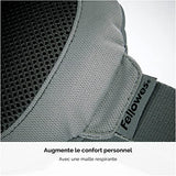 FELLOWES i-spire coussin lombaire