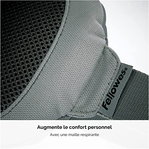 FELLOWES i-spire coussin lombaire