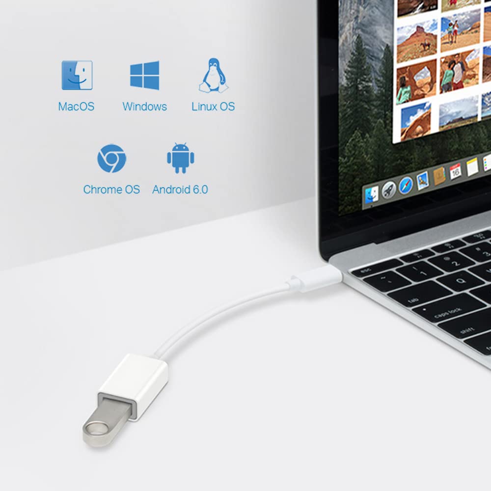 TP-LINK USB-C to USB 3.0 Adapter