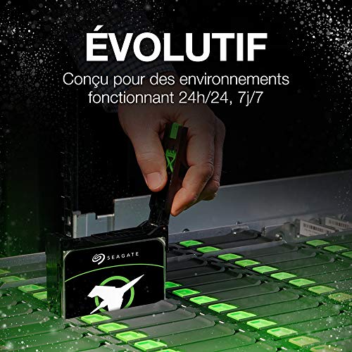 SEAGATE Exos 7E10 SAS 10To 7200tpm 256Mo cache 512e/4KN BLK