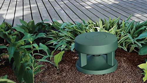 BOSE PRO Enceinte FreeSpace 360-P II Vert