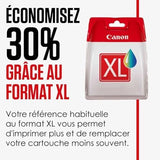 Cartouche CANON 6447B001 CLI-551XL - Gris