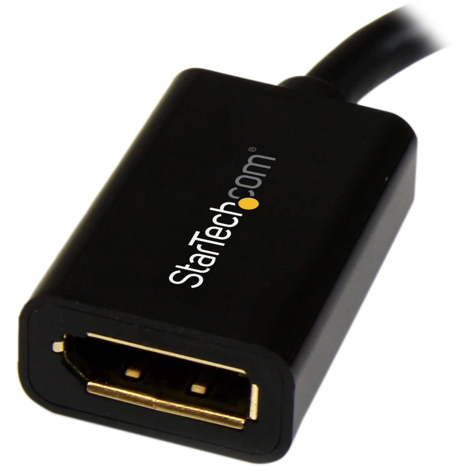 Mini DisplayPort to DisplayPort Adapter