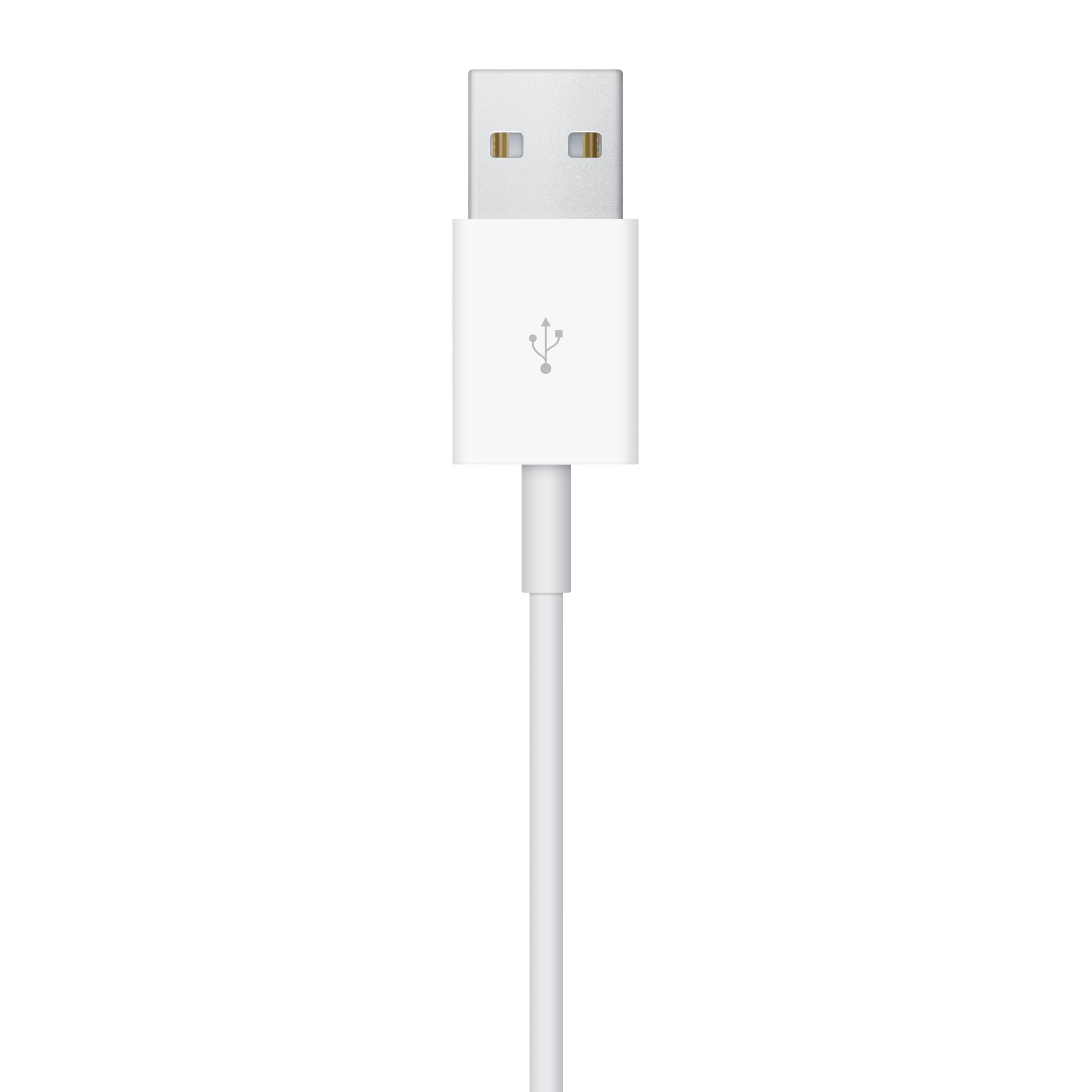 Apple Watch Magnetic Charging Cable 1 m