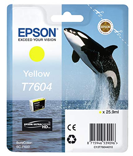 Cartouche EPSON C13T76014010 T7601 - Noir