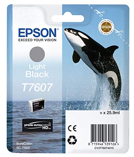 Cartouche EPSON C13T76094010 T7609 - Noir clair