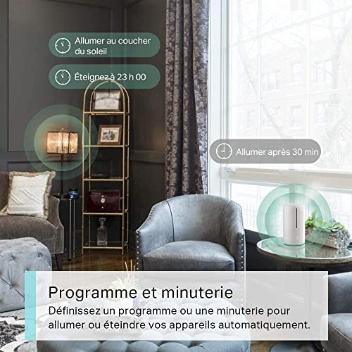 TP-Link Tapo P100 Mini Prise Connectée WiFi