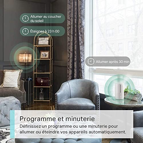 TP-Link TAPO P100M Prise intelligente 2300 W Maison, Bureau Blanc