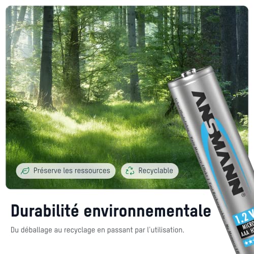 ANSMANN Batteries 5030892 HR03 / AAA blister de 2