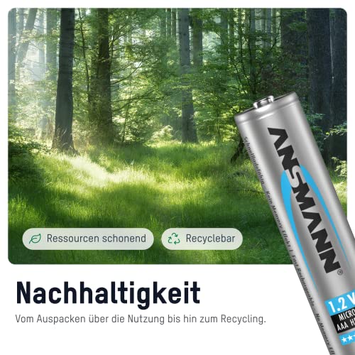 ANSMANN Batteries 5030892 HR03 / AAA blister de 2