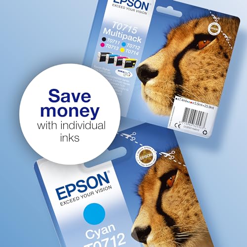 EPSON 2LB EasyMail MP Cheetah DURABrite Ultra CMYK