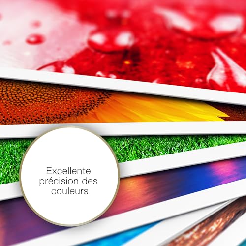 EPSON S041256 Matte heavyweight  papier inkjet 167g/m2 A4 50 feuilles pack de 1 one-sided