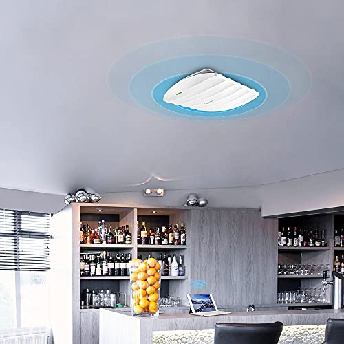 300Mbps Wireless N Access Point