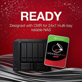 DD 3.5   SATA III SEAGATE IronWolf Pro - 10To