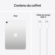 iPad Wi-Fi Cell 256GB Silver