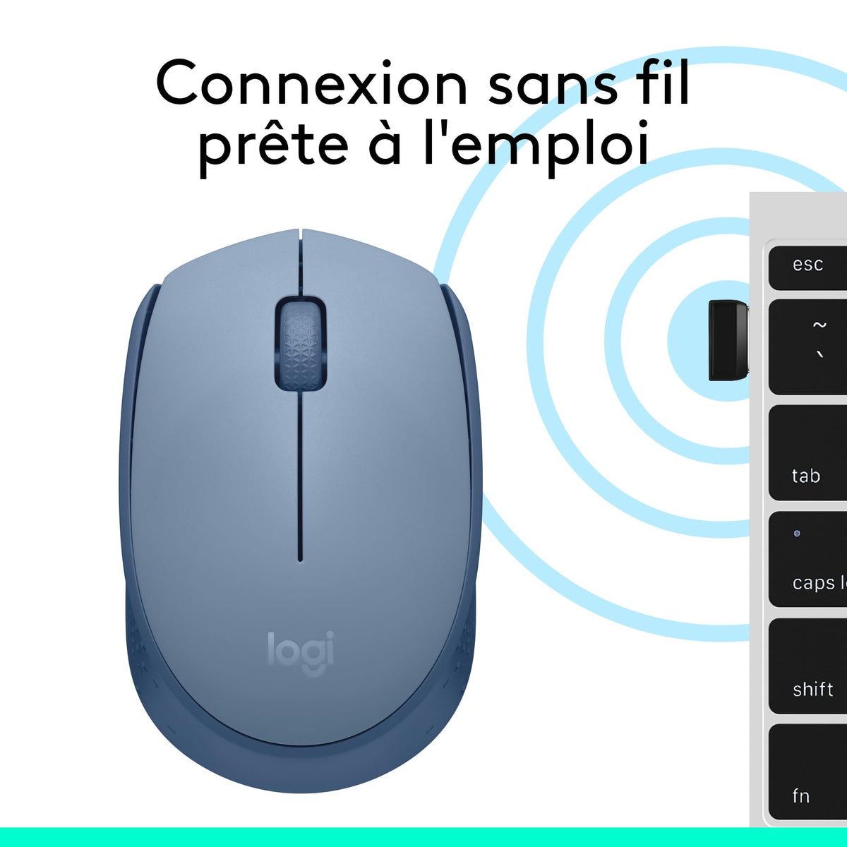 LOGITECH M171 Mouse right and left-handed optical 3 buttons wireless 2.4 GHz USB wireless receiver blue/grey