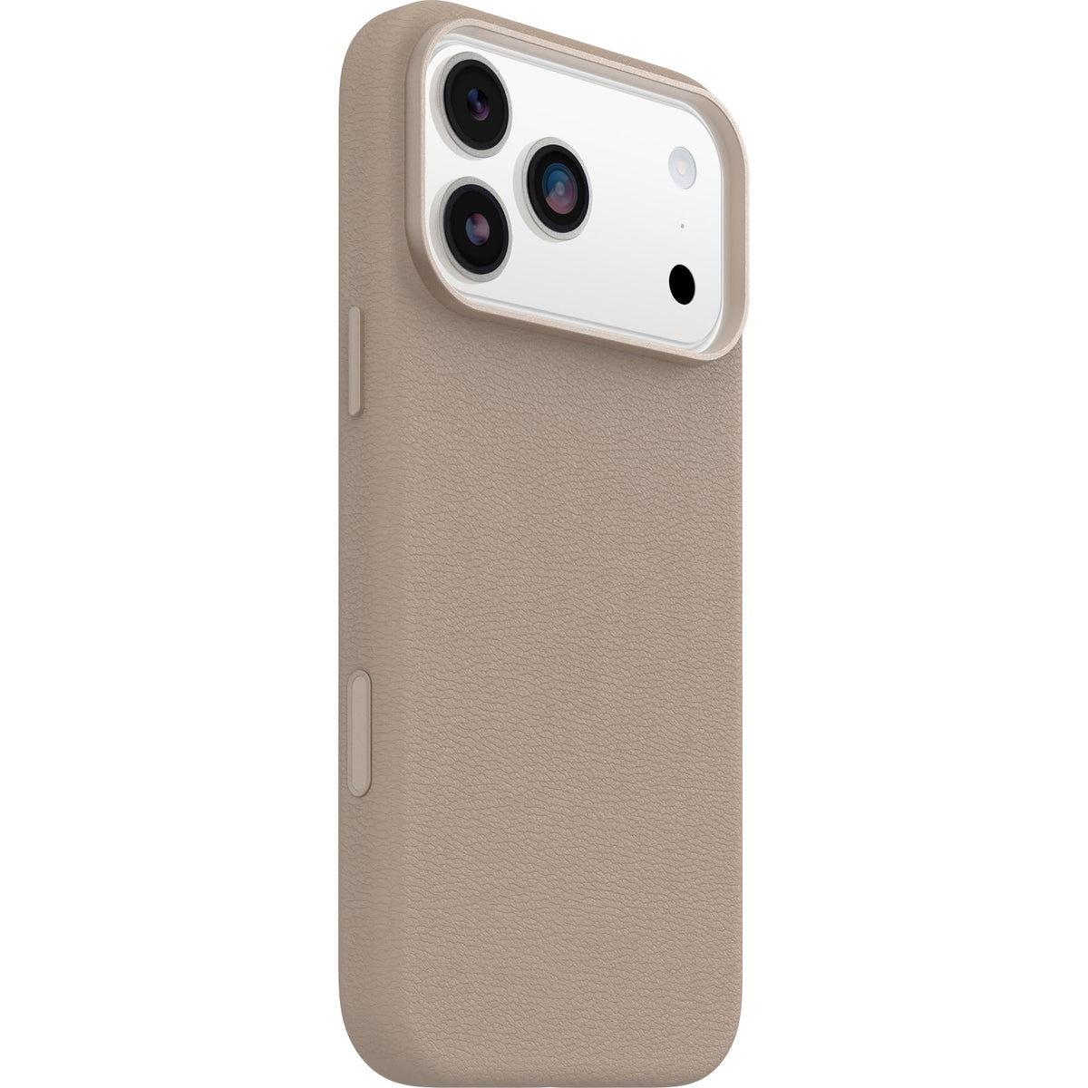 SymCactusLeatCC iPh18ProMx/17ProMx grey